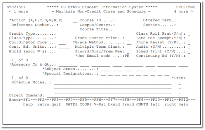 Special Flags and Designators